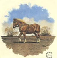 Horse - Le Breton